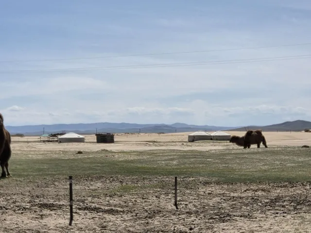 #3 - The next steppe
