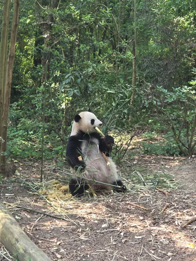 #1 - 16 Days in China...