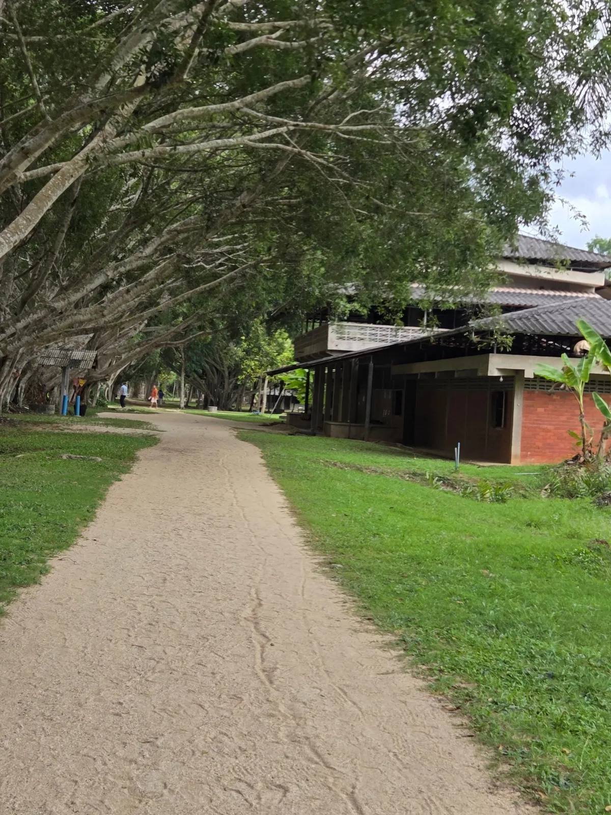 one of the photos I managed to snap before handing my phone in, this was the path to the meditation hall