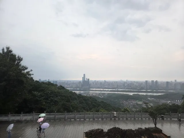 view from the top, somewhat worth it