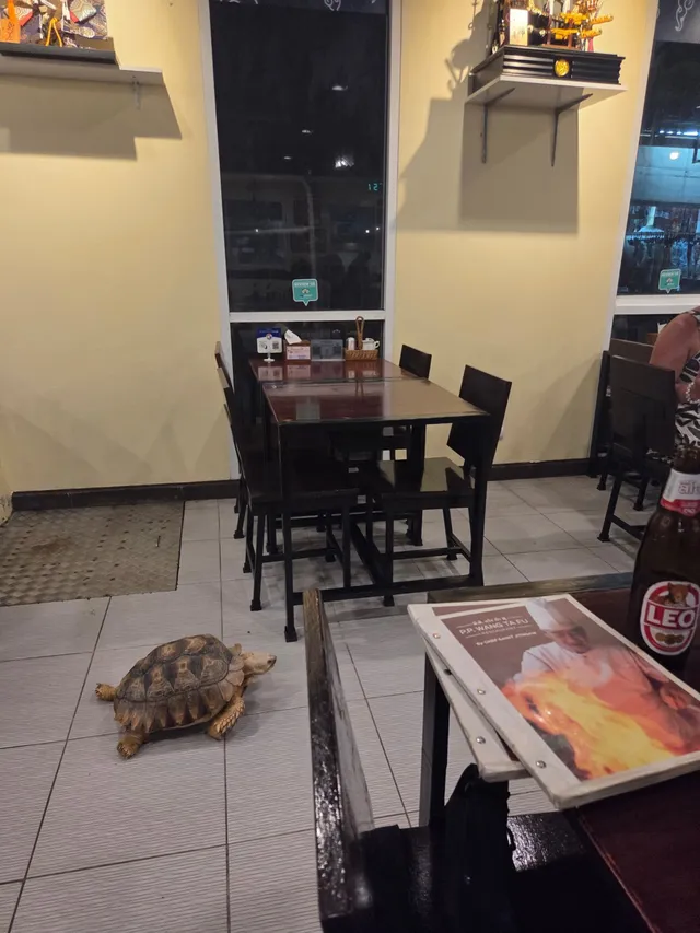 an interesting guest at the sushi place